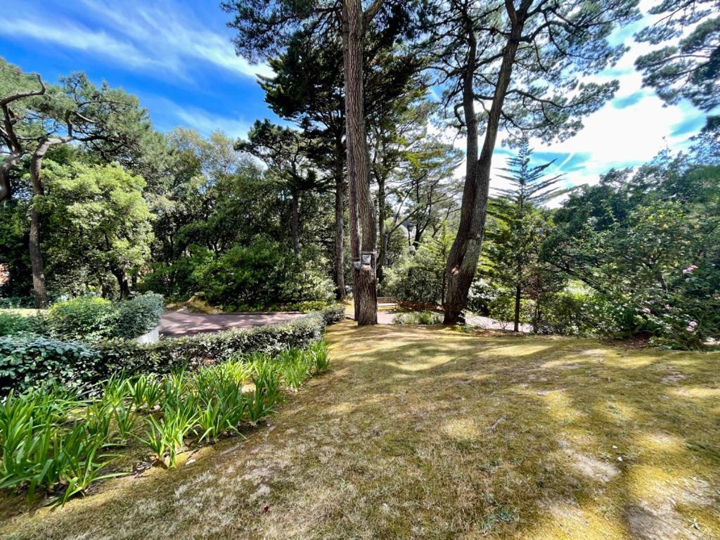 Agreable Proche Plage, Commerces, Gare Appartement La Baule-Escoublac